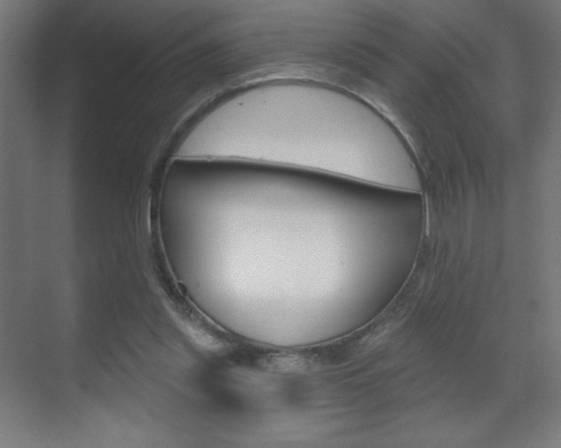 X0000070160253200605260946