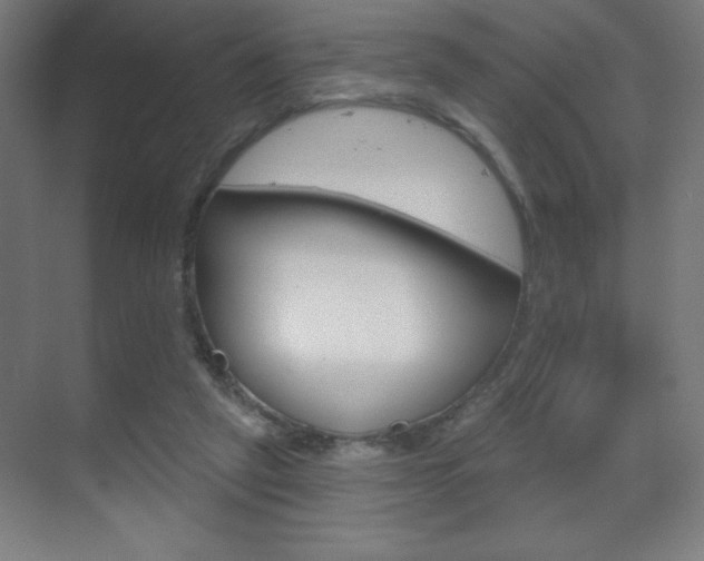 X0000070160257200605260946