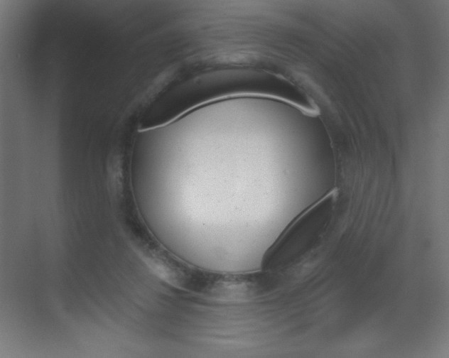 X0000070160260200605260946