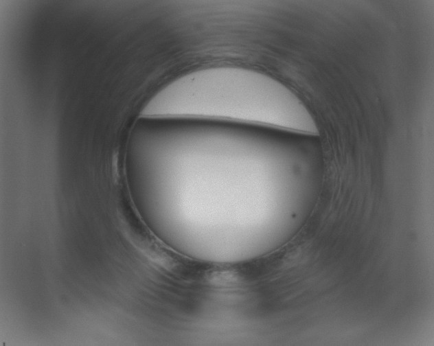 X0000070160262200605260946