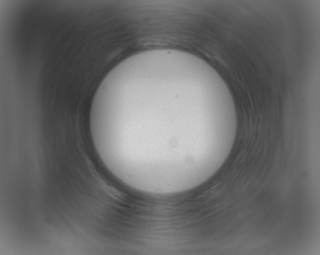 X0000070160264200605260946