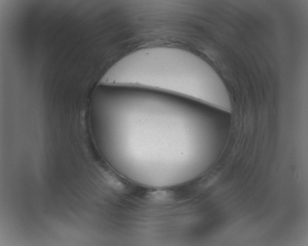 X0000070160269200605260946