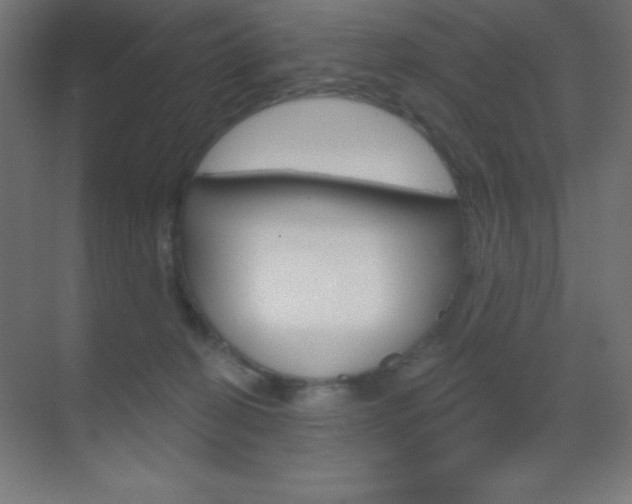 X0000070160274200605260946