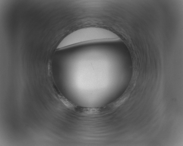 X0000070160288200605260947