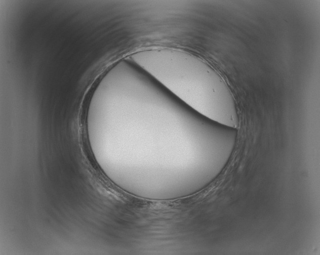 X0000070160290200605260946