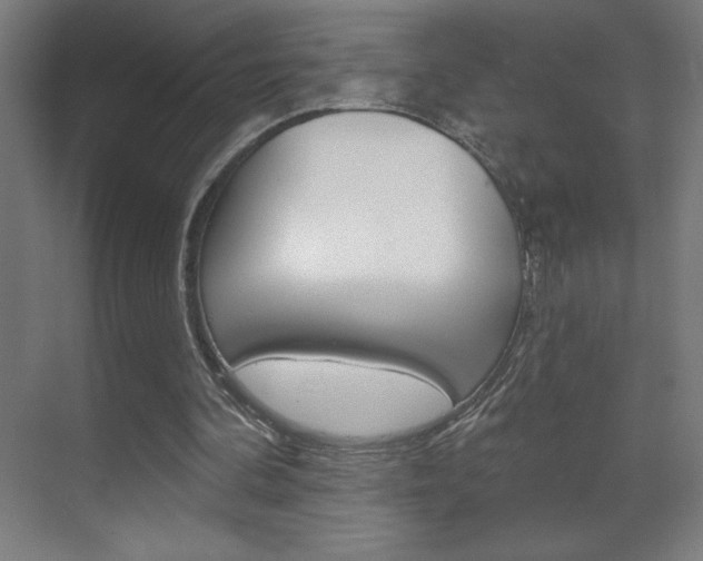 X0000070160292200605260946