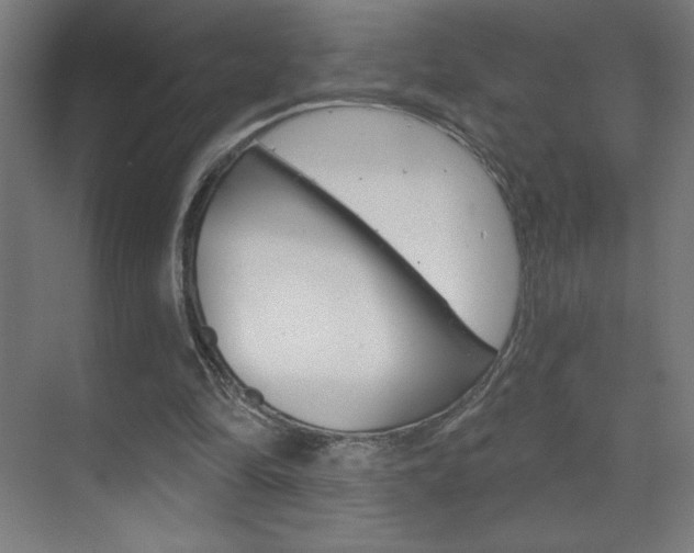 X0000070160294200605260946
