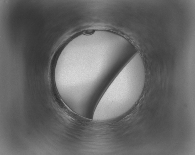 X0000070160296200605260946