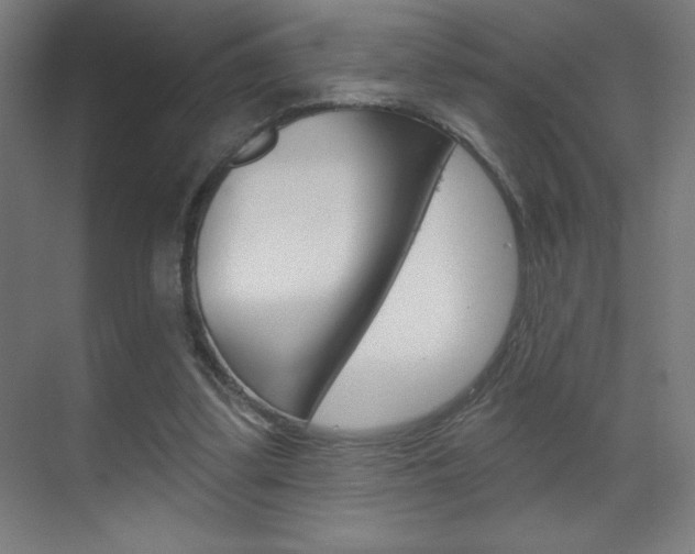 X0000070160299200605260946