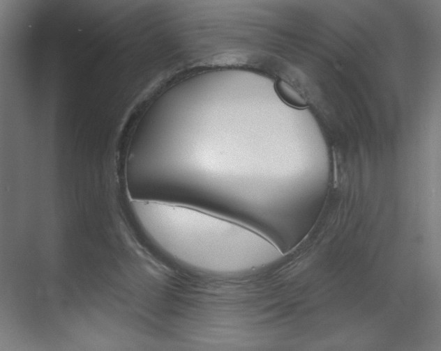 X0000070160300200605260946