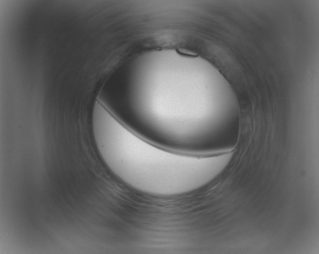 X0000070160317200605260945