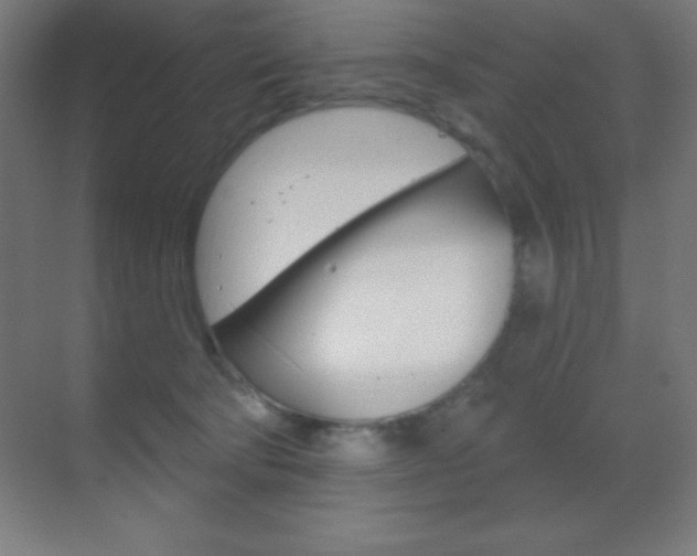 X0000070160322200605260945
