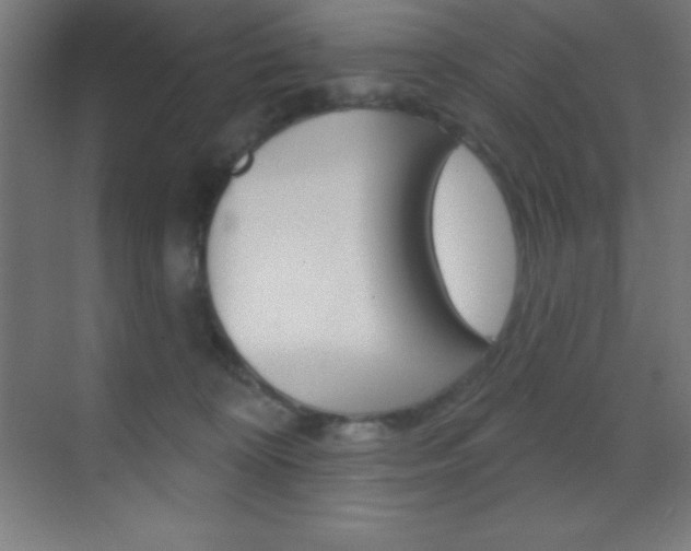 X0000070160324200605260945
