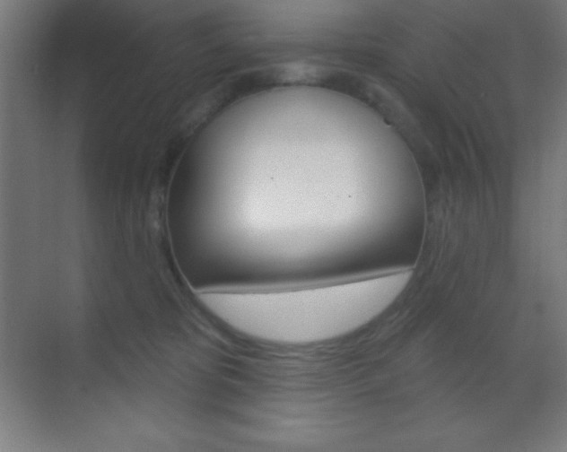 X0000070160325200605260945