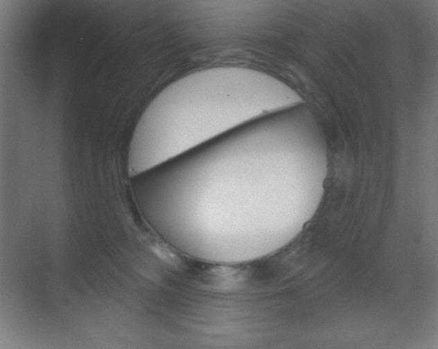 X0000070160326200605260945