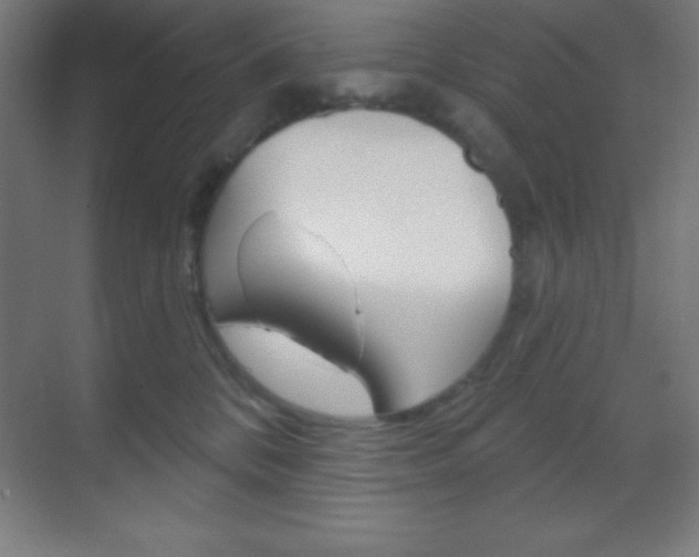 X0000070160328200605260945