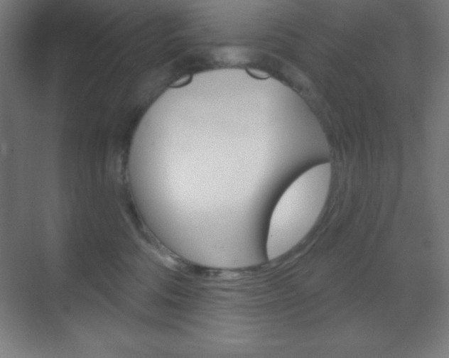 X0000070160330200605260945