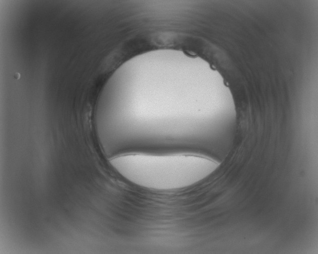 X0000070160332200605260945