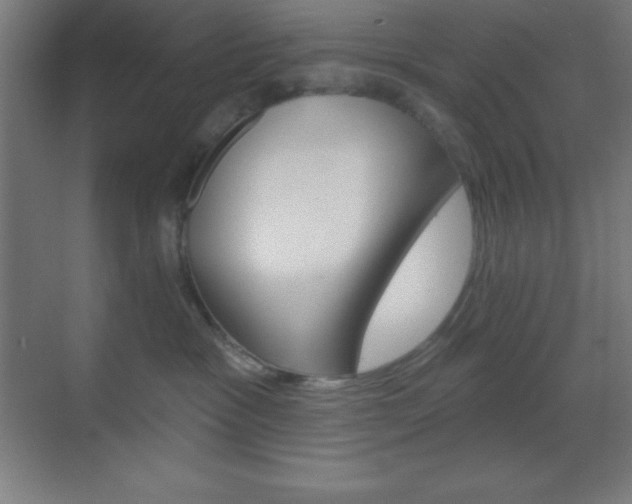 X0000070160333200605260945