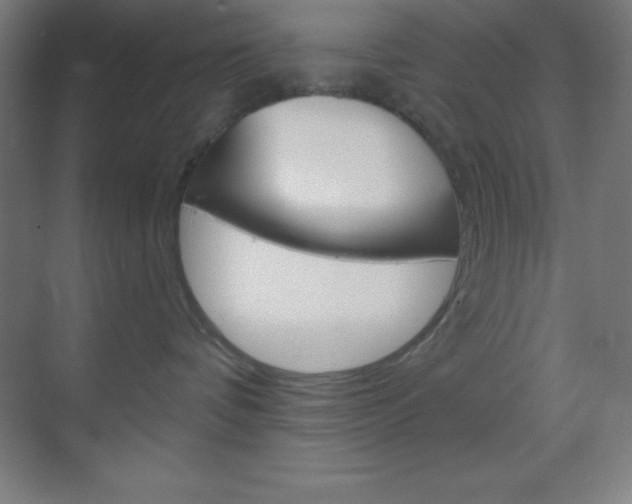 X0000070160336200605260945