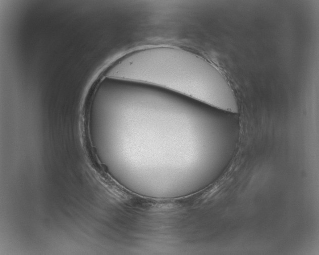 X0000070160342200605260944