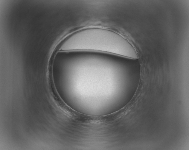 X0000070160344200605260944