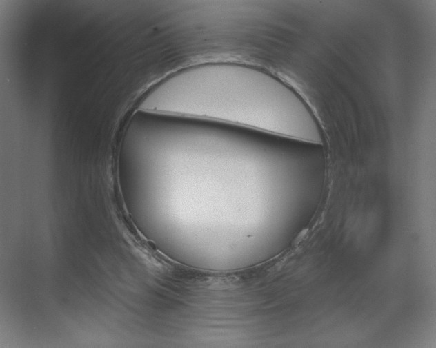 X0000070160345200605260944