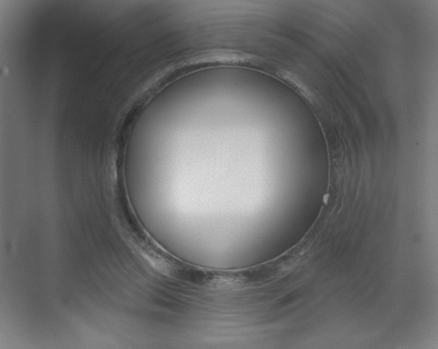 X0000070160350200605260944