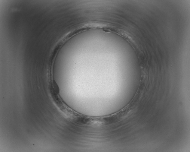 X0000070160352200605260944