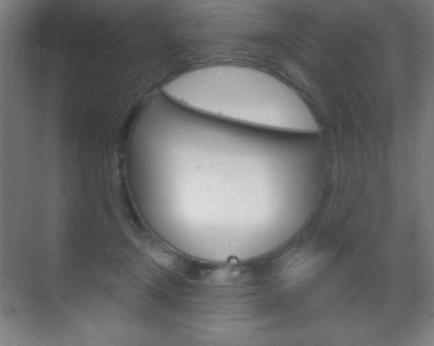 X0000070160366200605260945