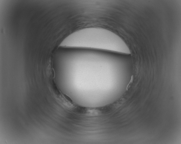 X0000070160376200605260945