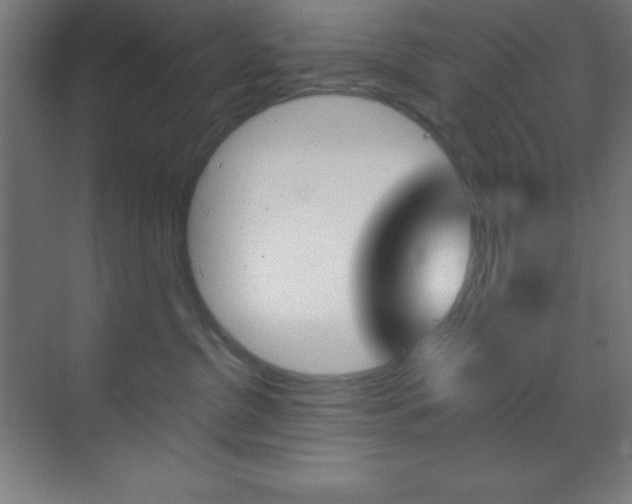X0000070160380200605260945