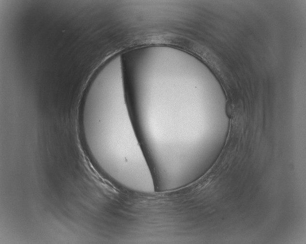 X0000070160386200605260944