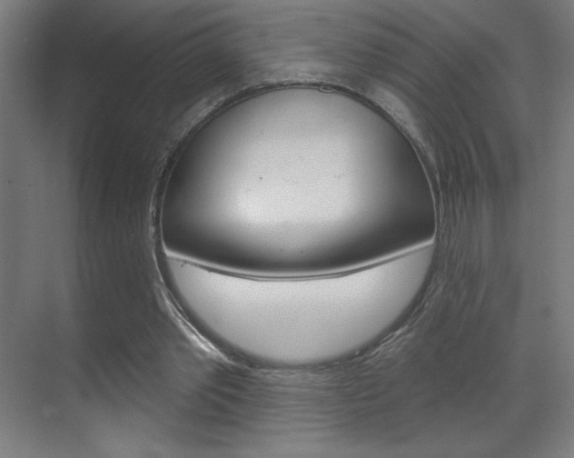 X0000070160389200605260944