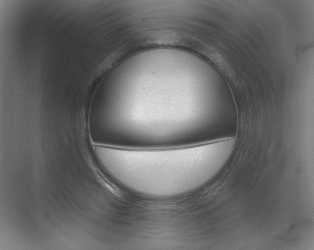 X0000070160397200605260944