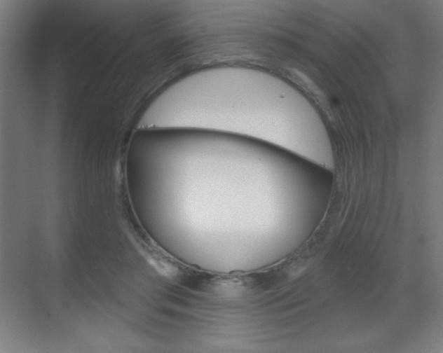 X0000070160405200605260944