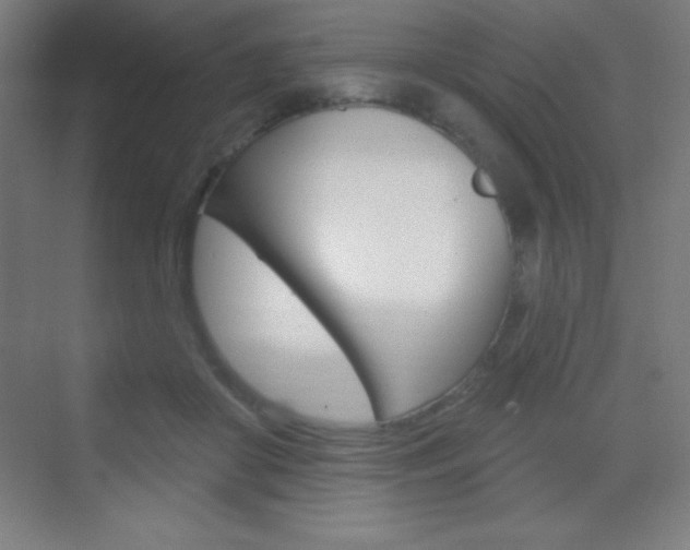 X0000070160410200605260944