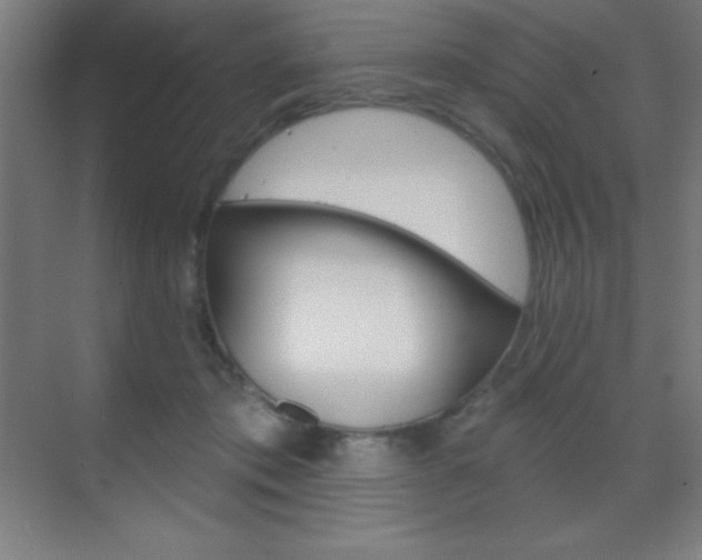 X0000070160413200605260944