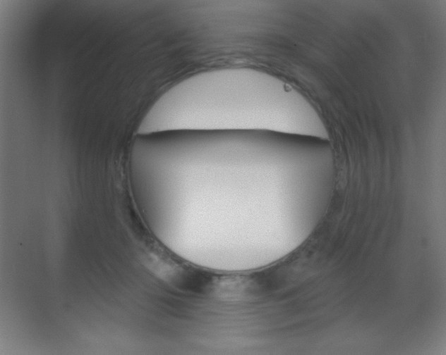 X0000070160414200605260944