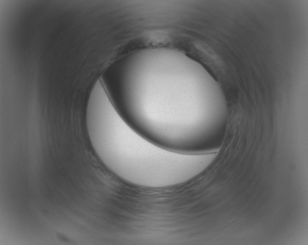 X0000070160417200605260944