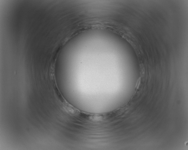 X0000070160419200605260944