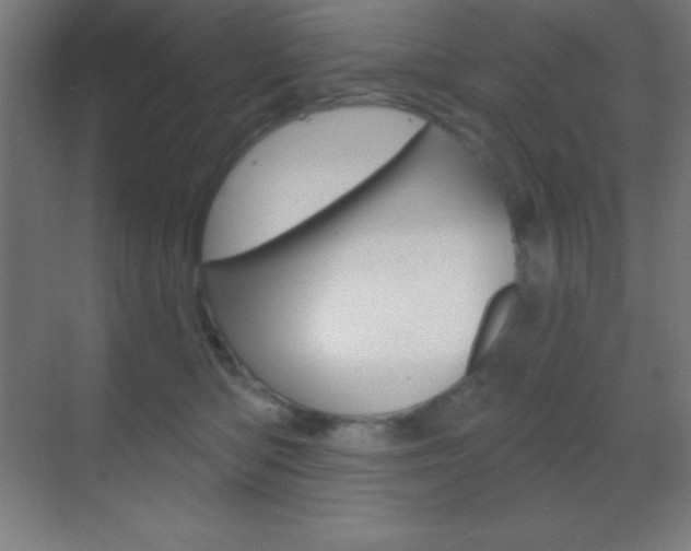 X0000070160422200605260944