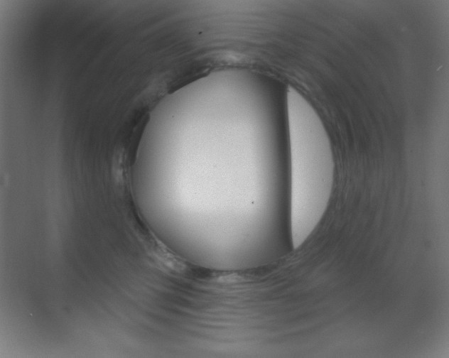 X0000070160423200605260943