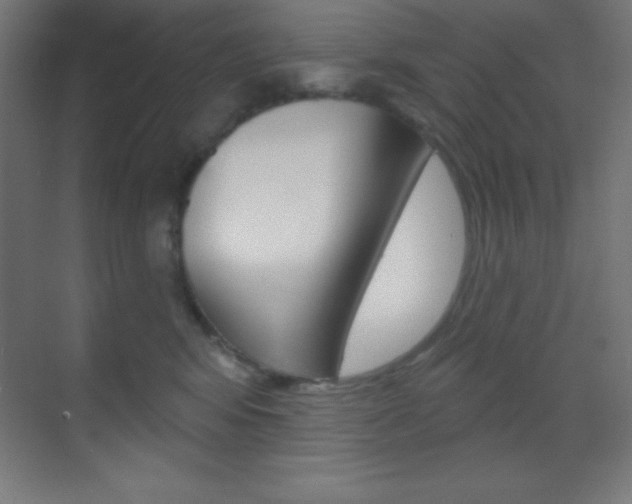 X0000070160424200605260943