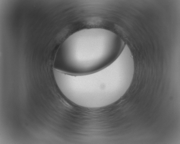 X0000070160428200605260943