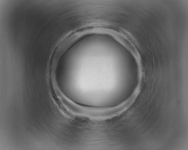 X0000070160436200605260943