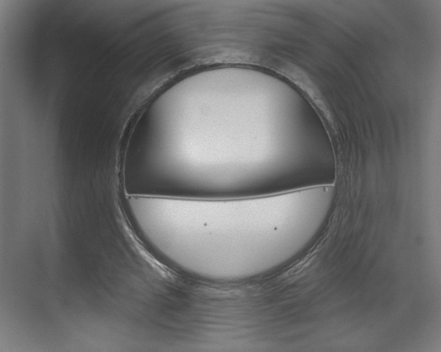 X0000070160437200605260943
