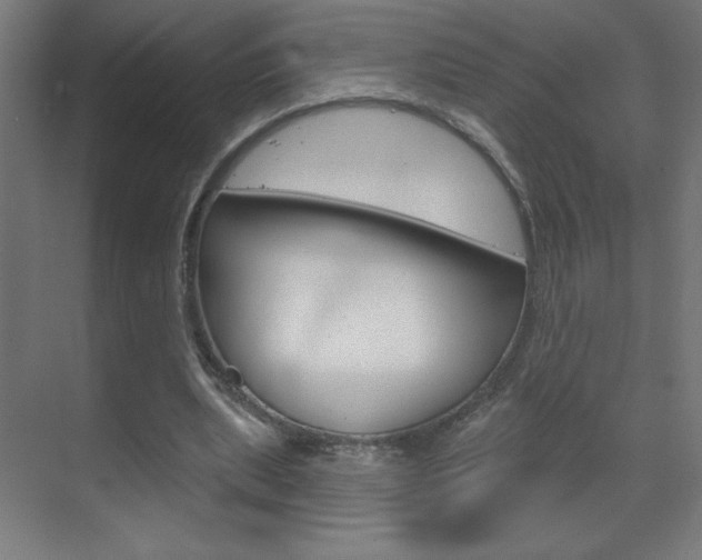 X0000070160439200605260943