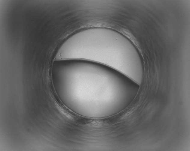X0000070160441200605260943