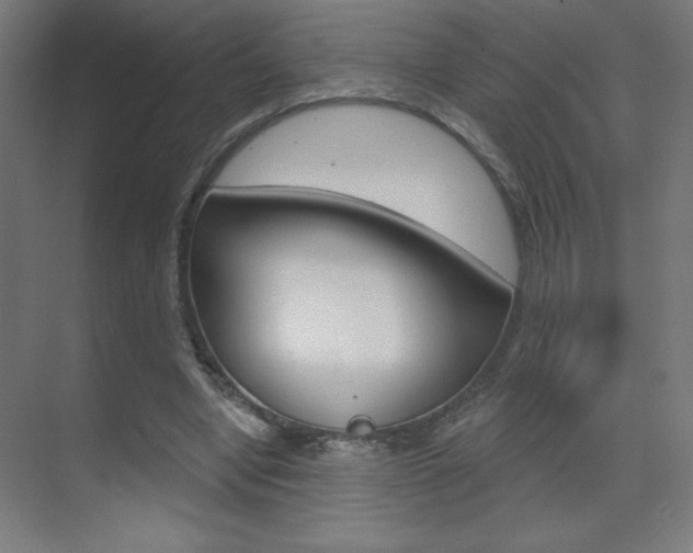 X0000070160442200605260943
